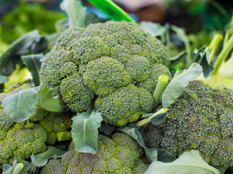 Broccoli Nutrition Facts And Health Benefits